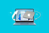 如何将数据从 Mac 硬盘恢复到 PC