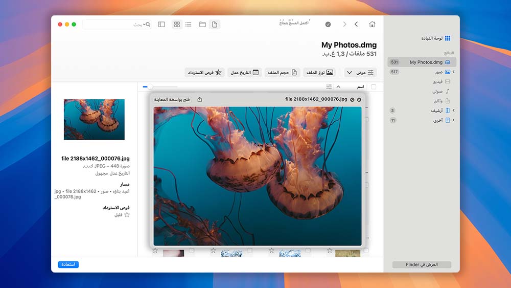 Disk Drill لنظام Mac يعاين الملفات