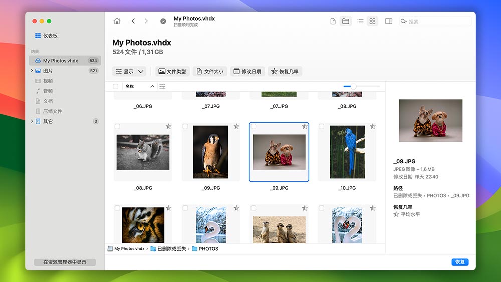 Disk Drill for Mac 预览文件
