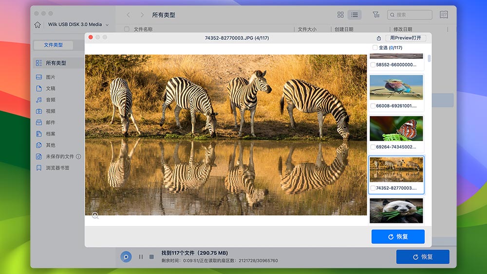 EaseUS Data Recovery Wizard 预览