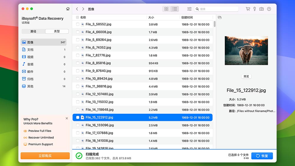 iBoysoft Data Recovery 预览文件
