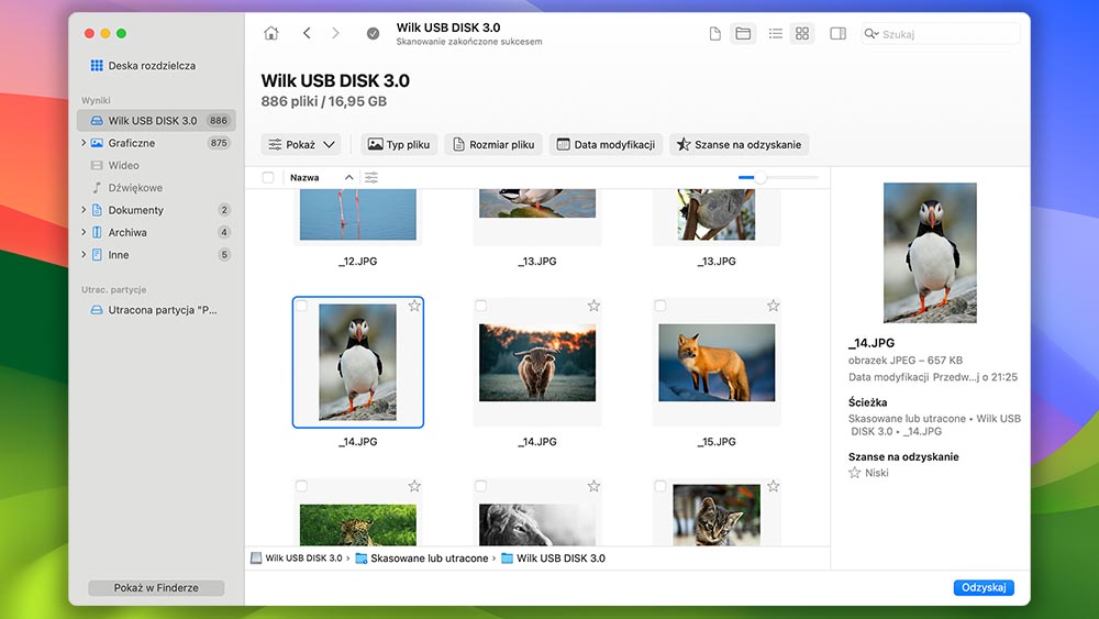 Podgląd plików w Disk Drill dla Mac