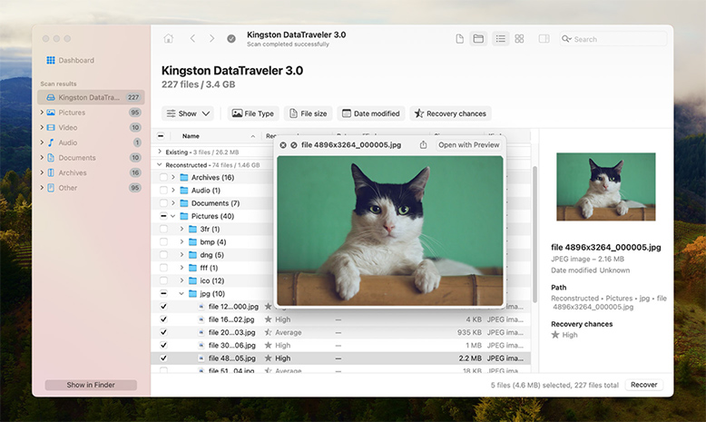 Disk Drill for Mac esikatsele tiedostoja