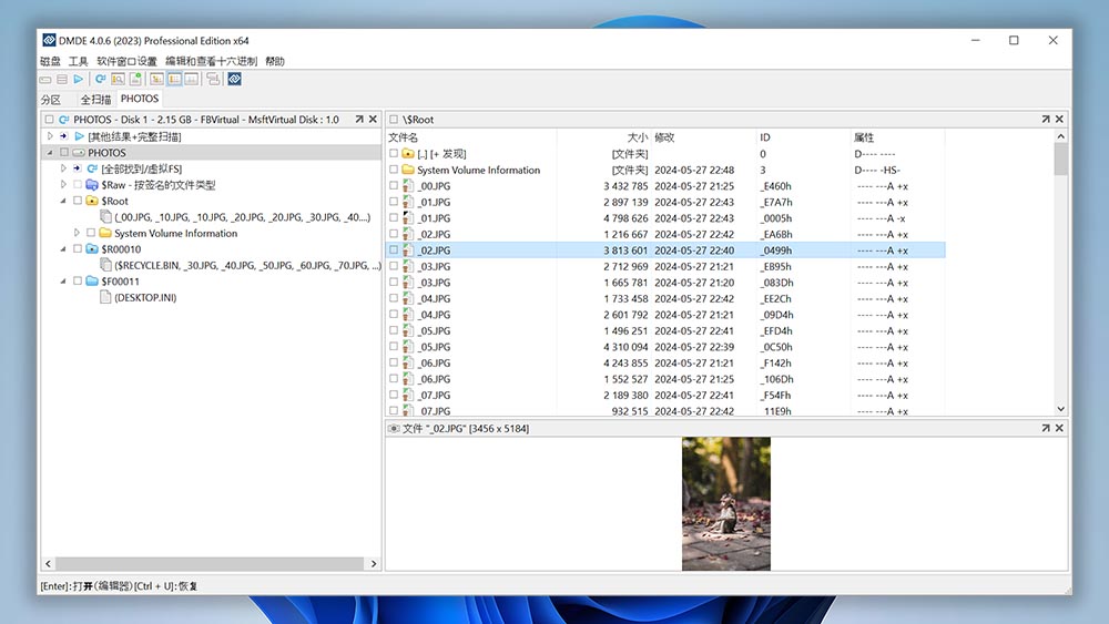 DM Disk Editor and Data Recovery Software