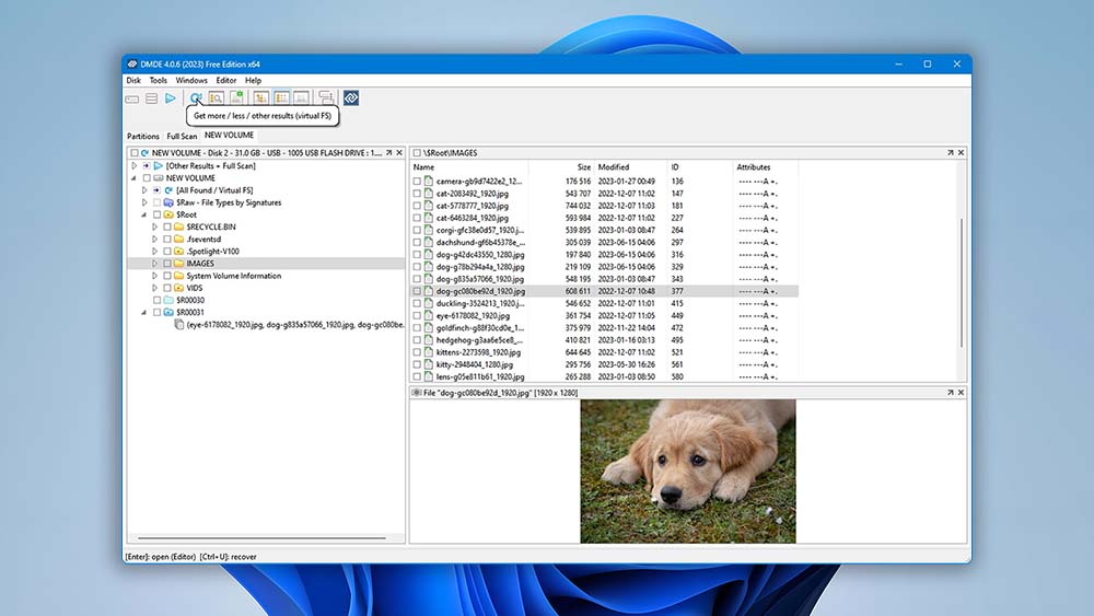 DM Disk Editor and Data Recovery Software