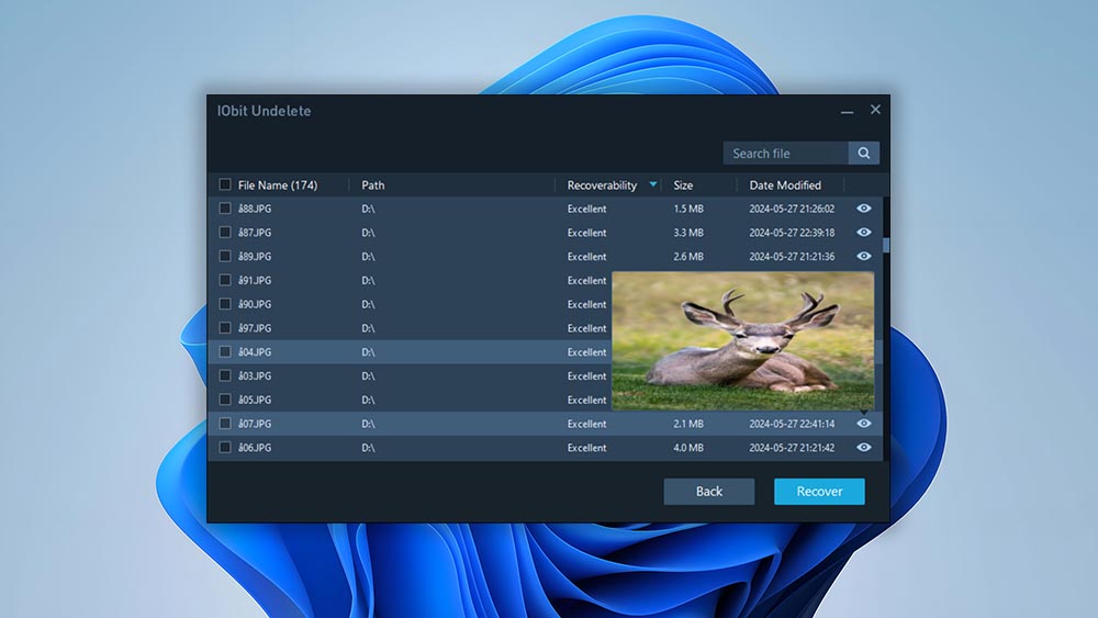 IObit Undelete 存储卡恢复