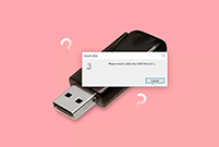 데이터 손실 없이 “USB 드라이브에 디스크를 삽입하십시오” 오류를 수정하는 방법