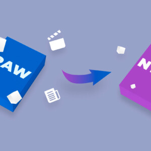 Sådan konverteres RAW-partition til NTFS uden datatab