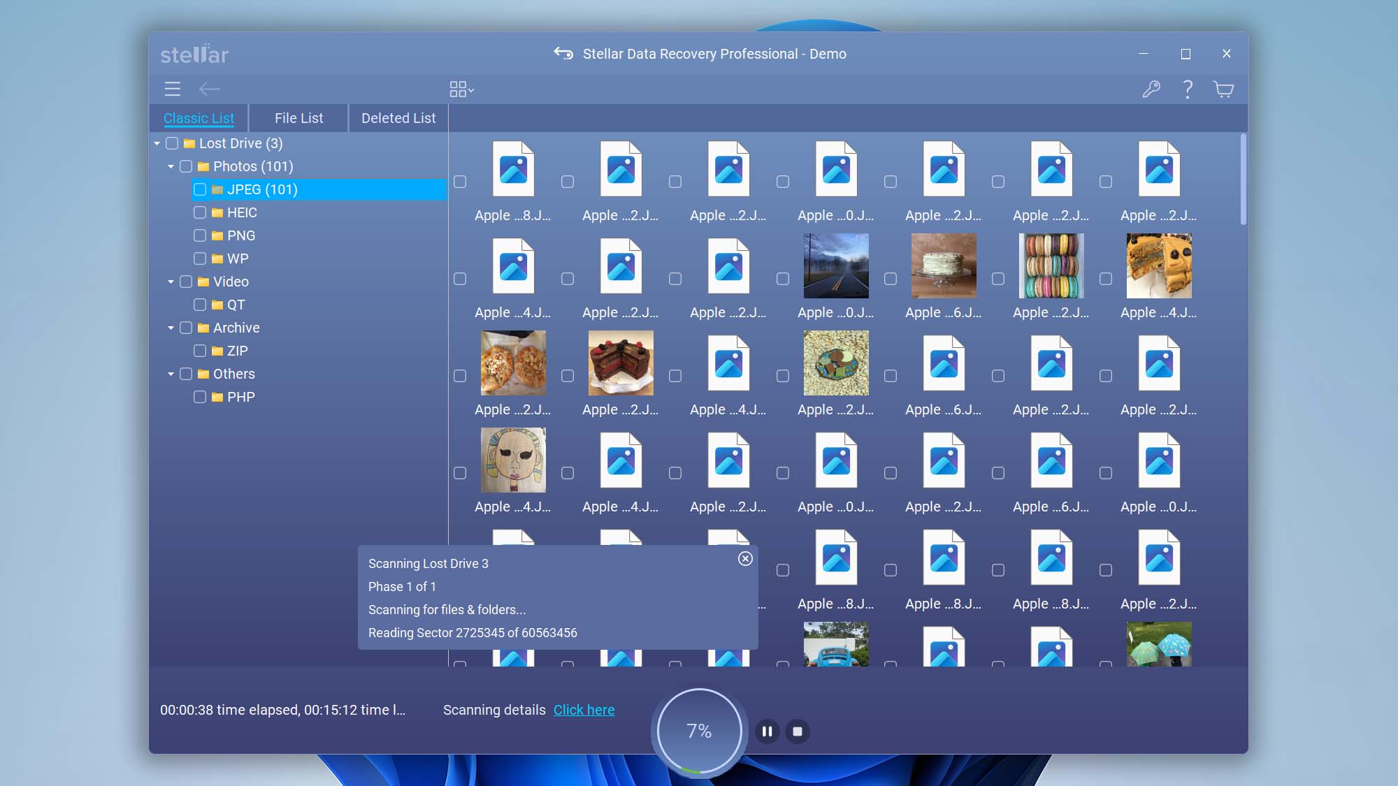 Stellar Data Recovery Professional