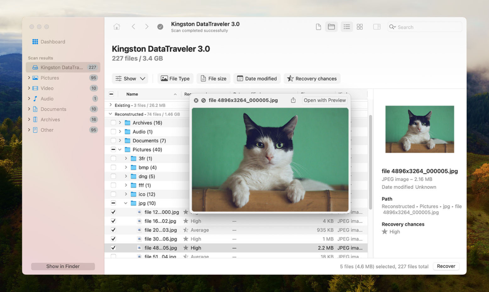 Disk Drill preview function