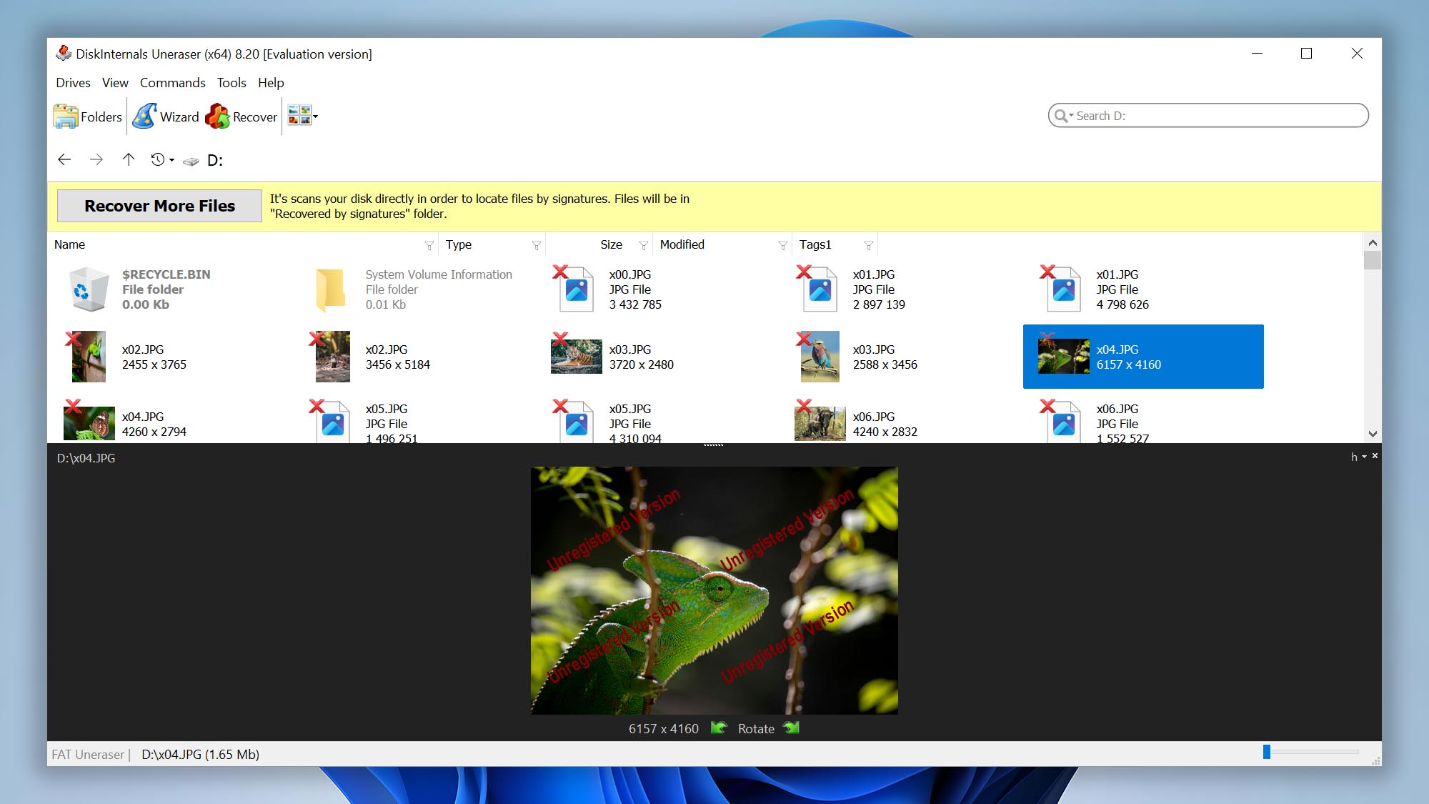 DiskInternals Uneraser dosya önizlemesi