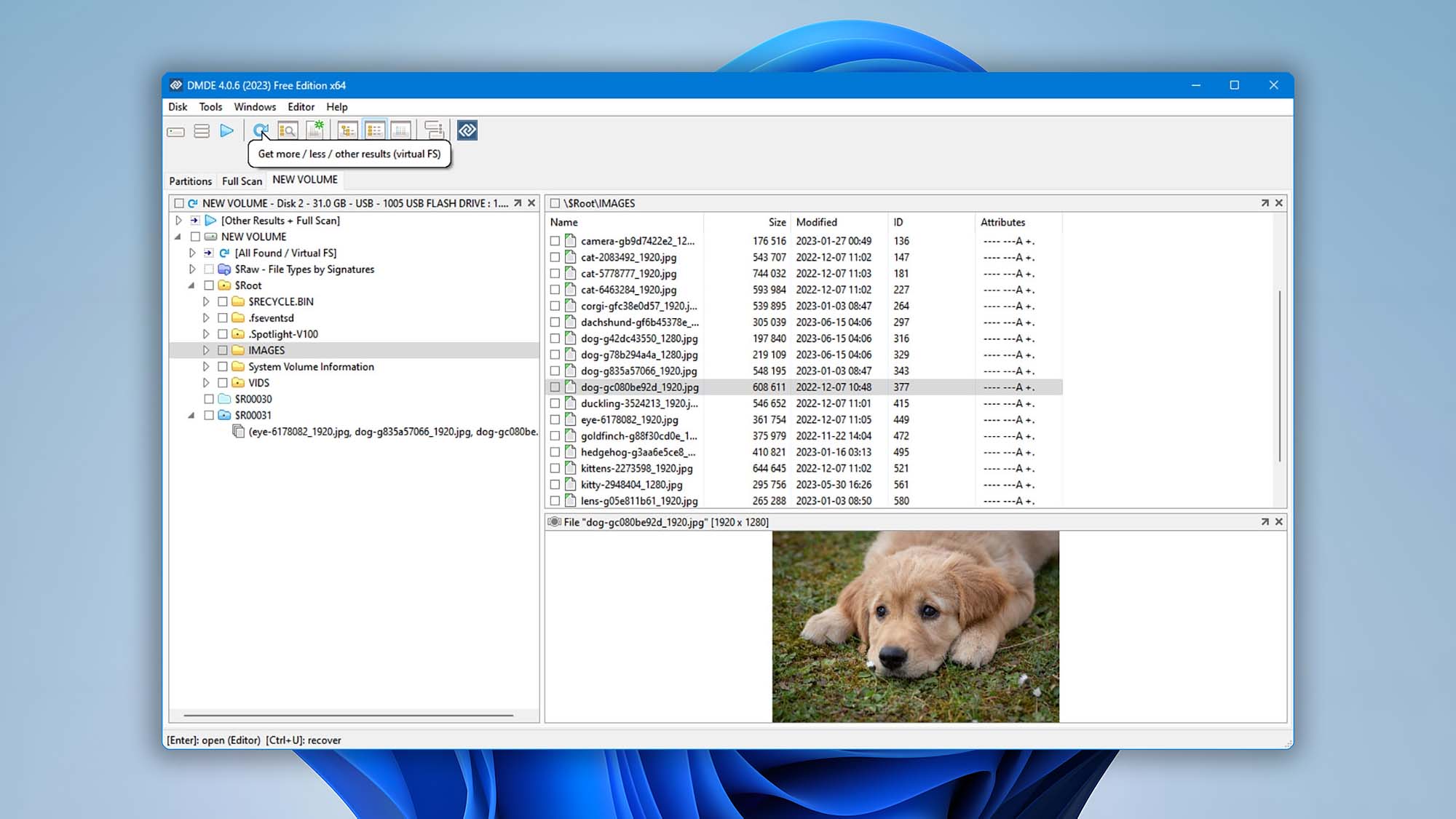 DM Disk Editor and Data Recovery Software
