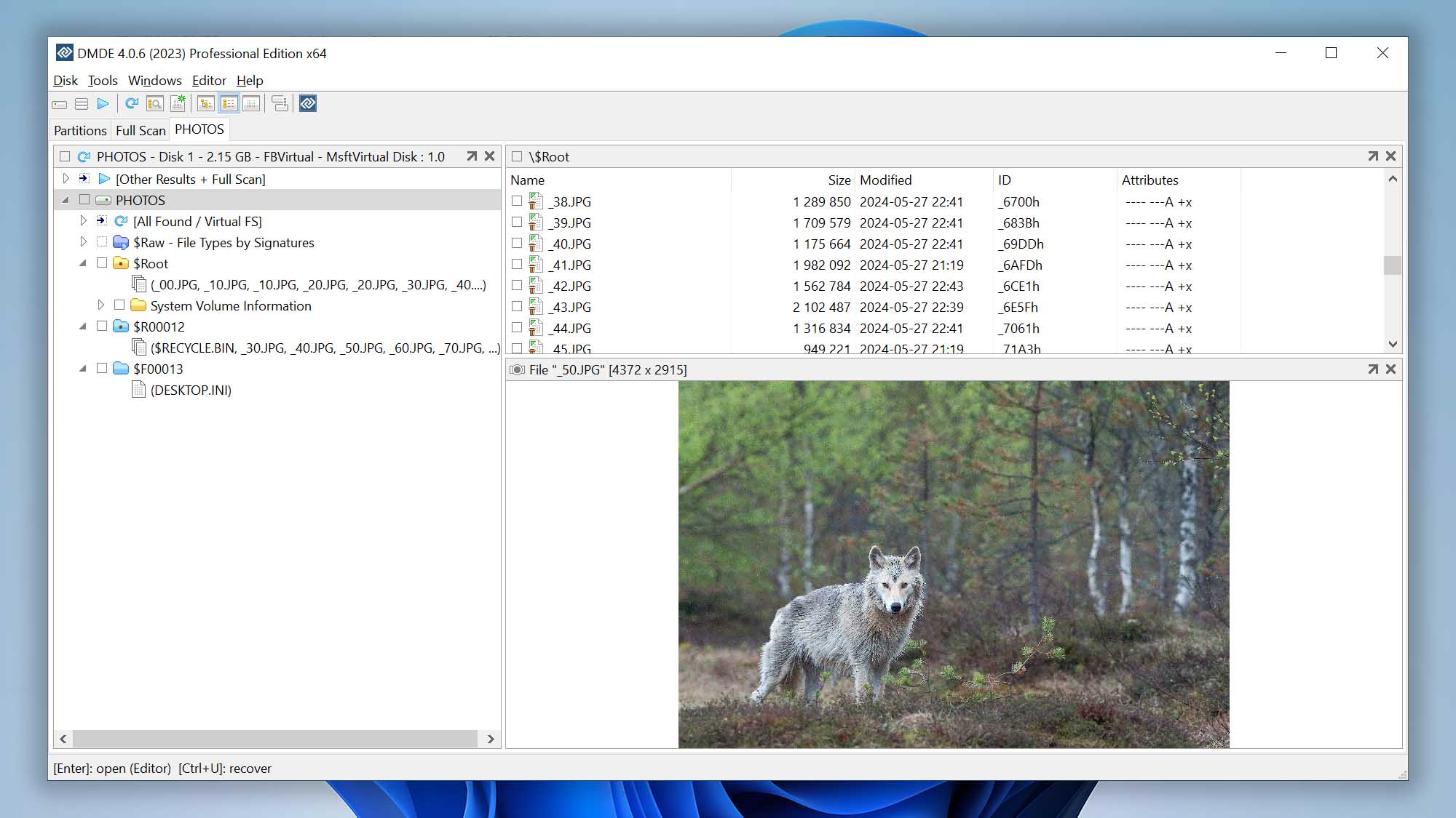 DM Disk Editor and Data Recovery Software