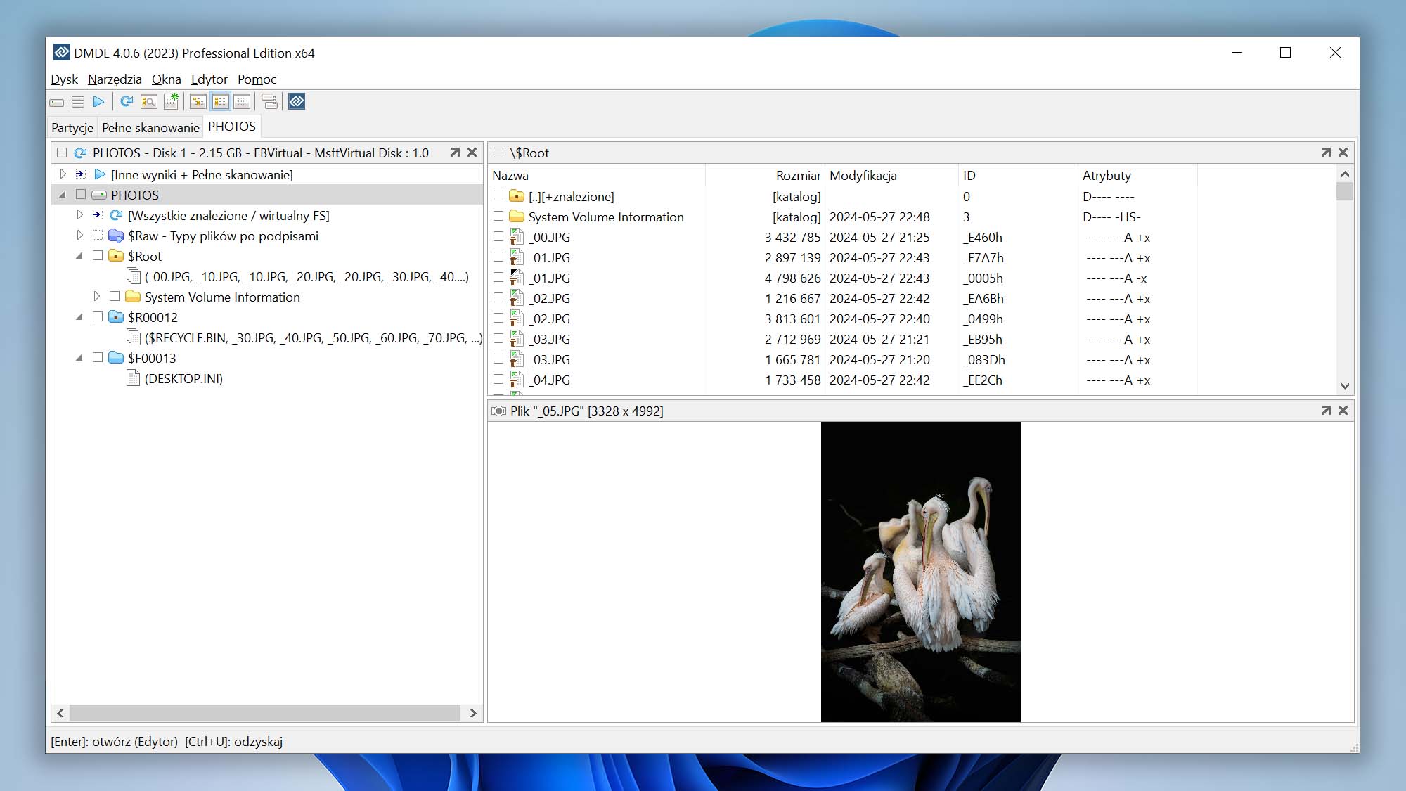 DM Disk Editor and Data Recovery Software