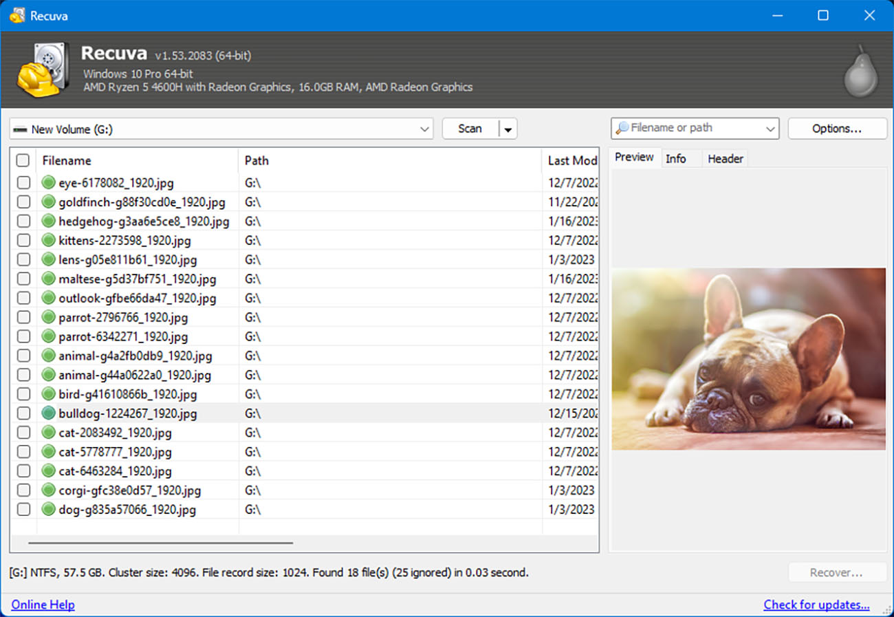 Recuva sd card recovery