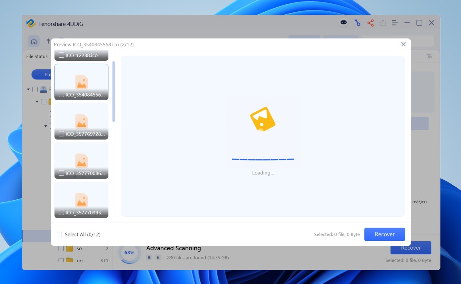 preview feature in 4ddig
