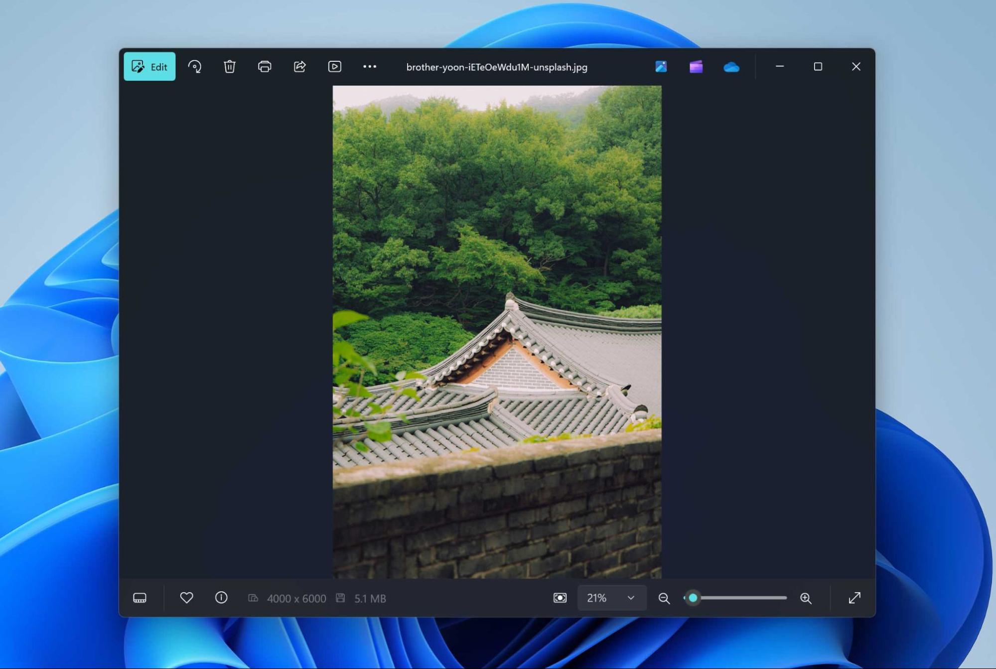 recovered file in windows viewer 