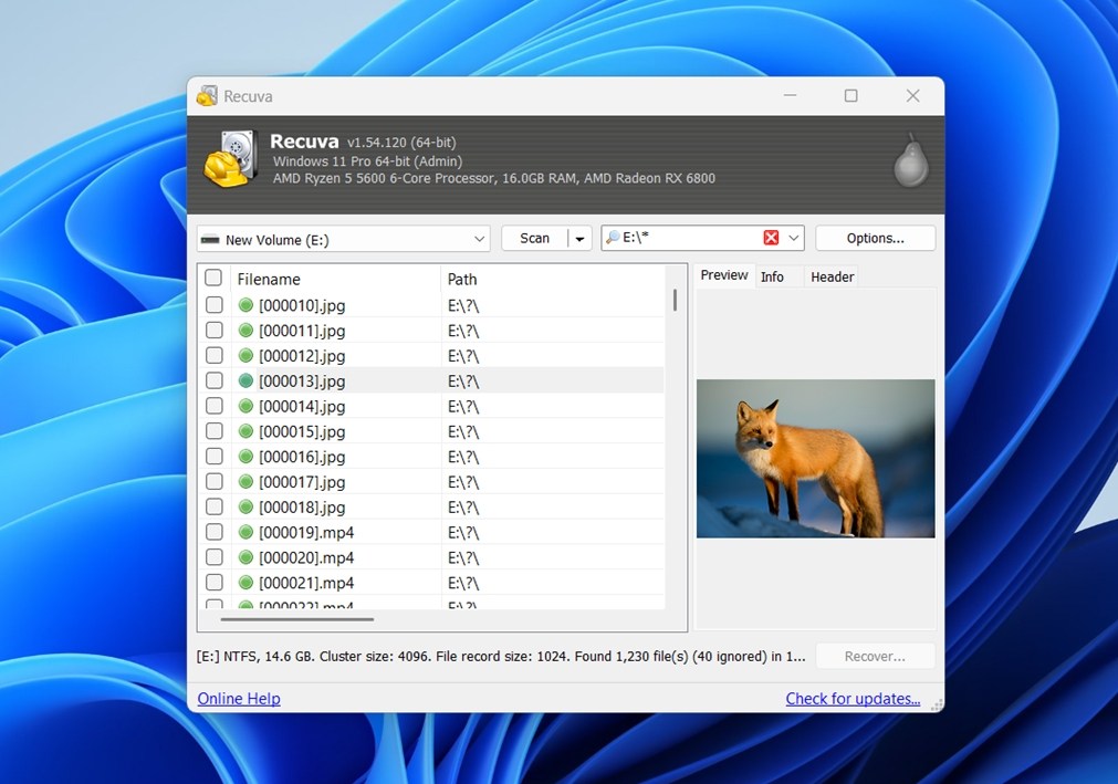 preview files in advanced mode