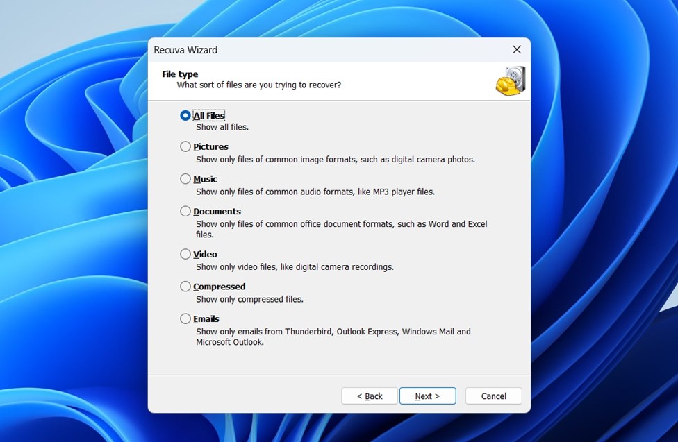 select file types for recovery