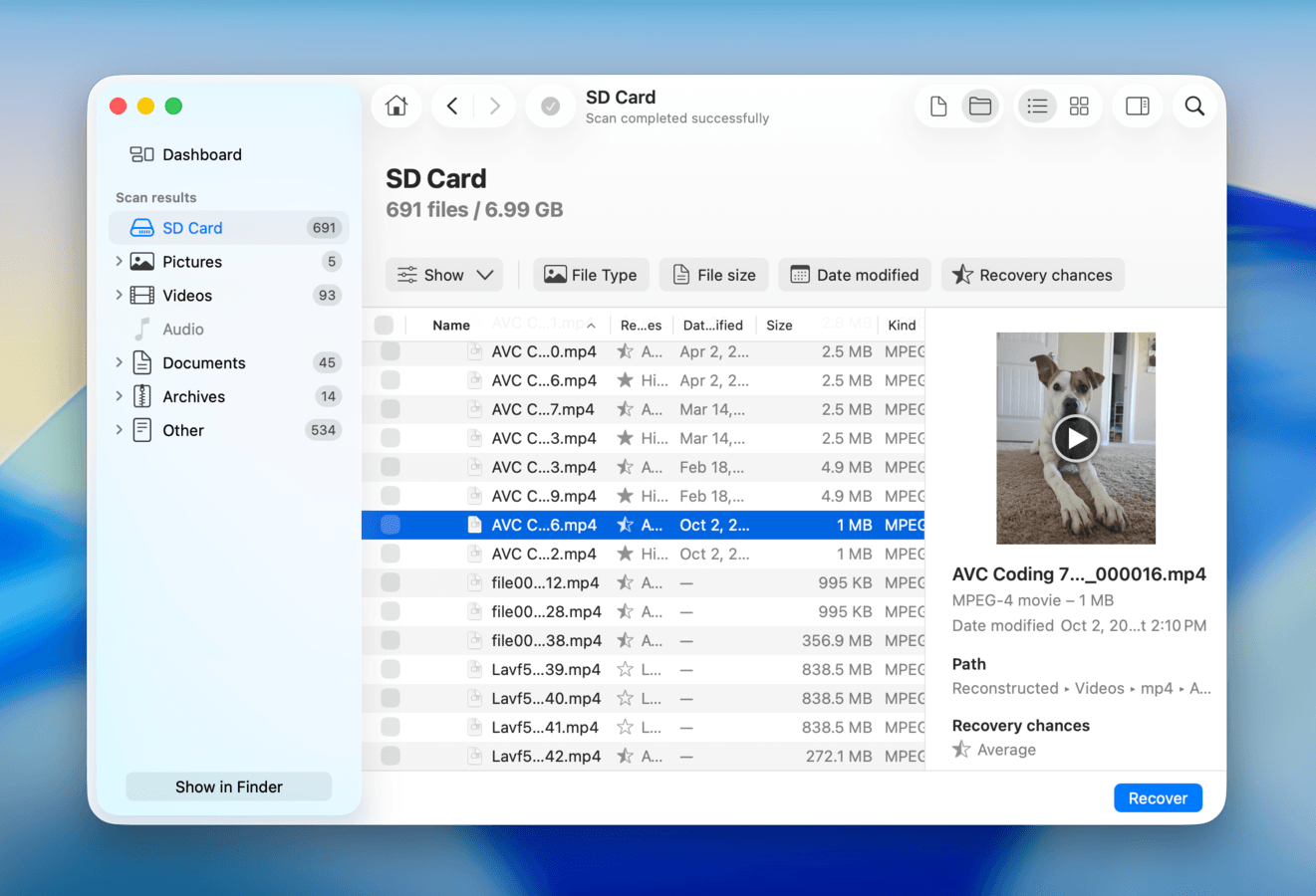 Disk Drill file browser and SD card files