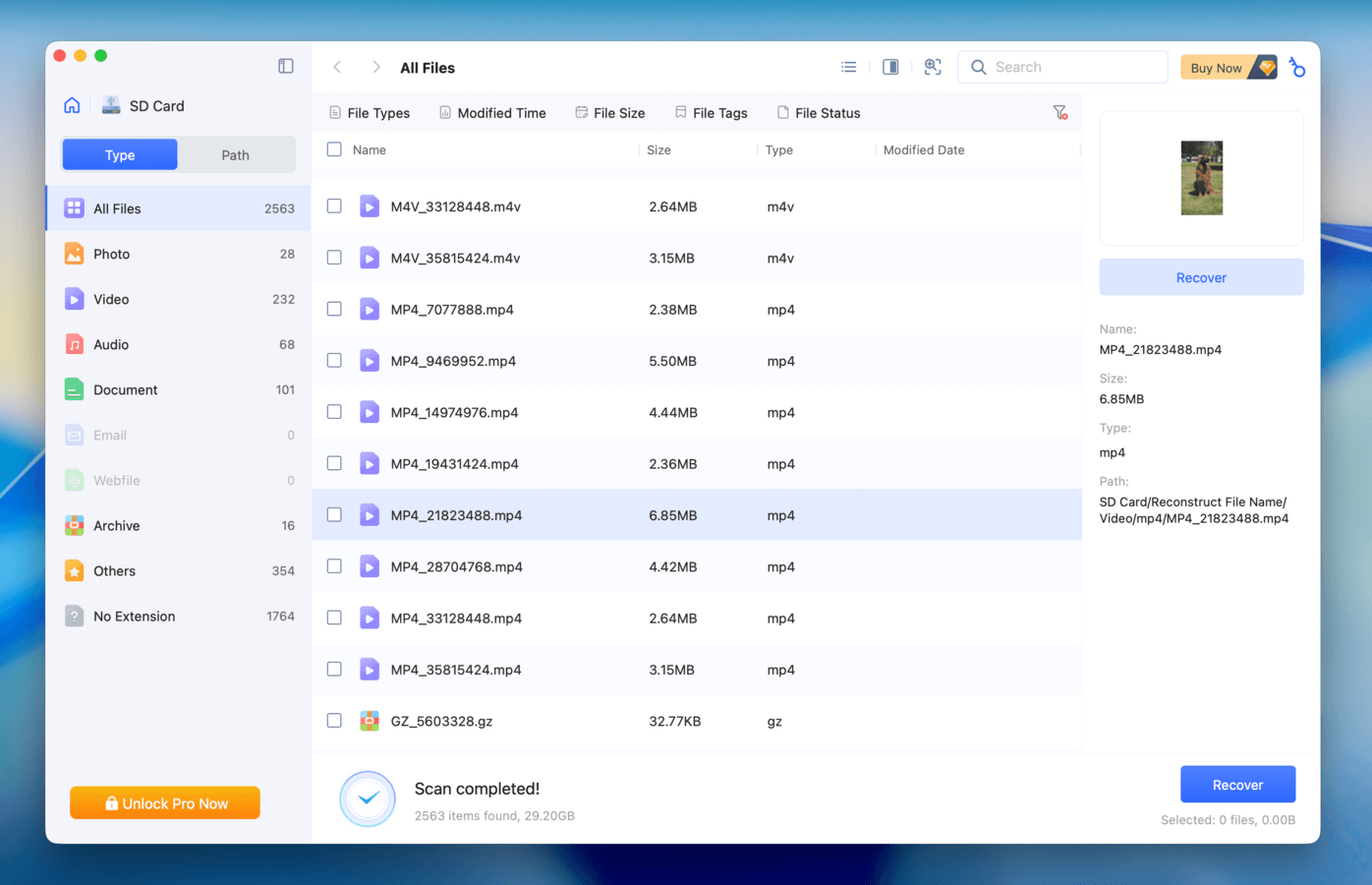 Tenorshare 4DDiG file browser and SD card files