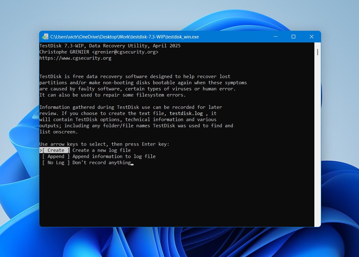 TestDisk interface
